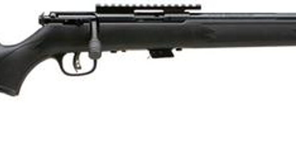 Savage Mark II FV-SR 22LR 16.5" Threaded Barrel, Sight Rail, Accutrigger, 5 Round