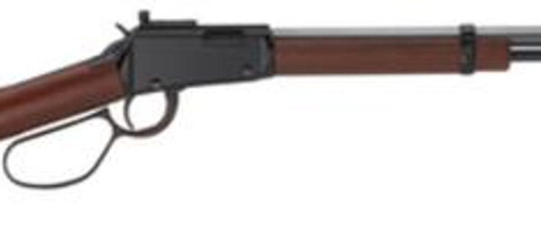 Henry Small Game Rifle .22 Mag 20" Octagon Barrel Skinner's Sights Large Loop Lever Walnut Stock 16rds