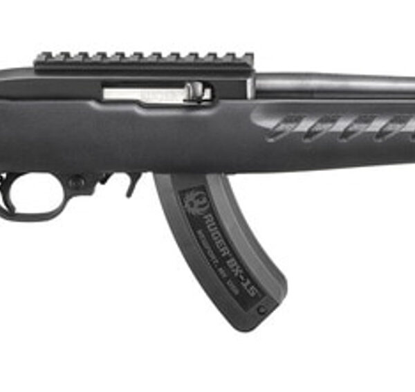 Ruger 22 Charger Railed Brace Mount 22 LR, 8" Threaded Barrel,  Picatinny Top Rail 15Rd Mag
