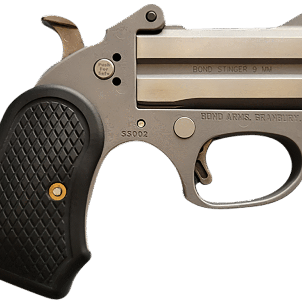 Bond Arms Honey-B 22 LR, 3" Barrel, Fixed Sights, Stainless, Silver, 2rd